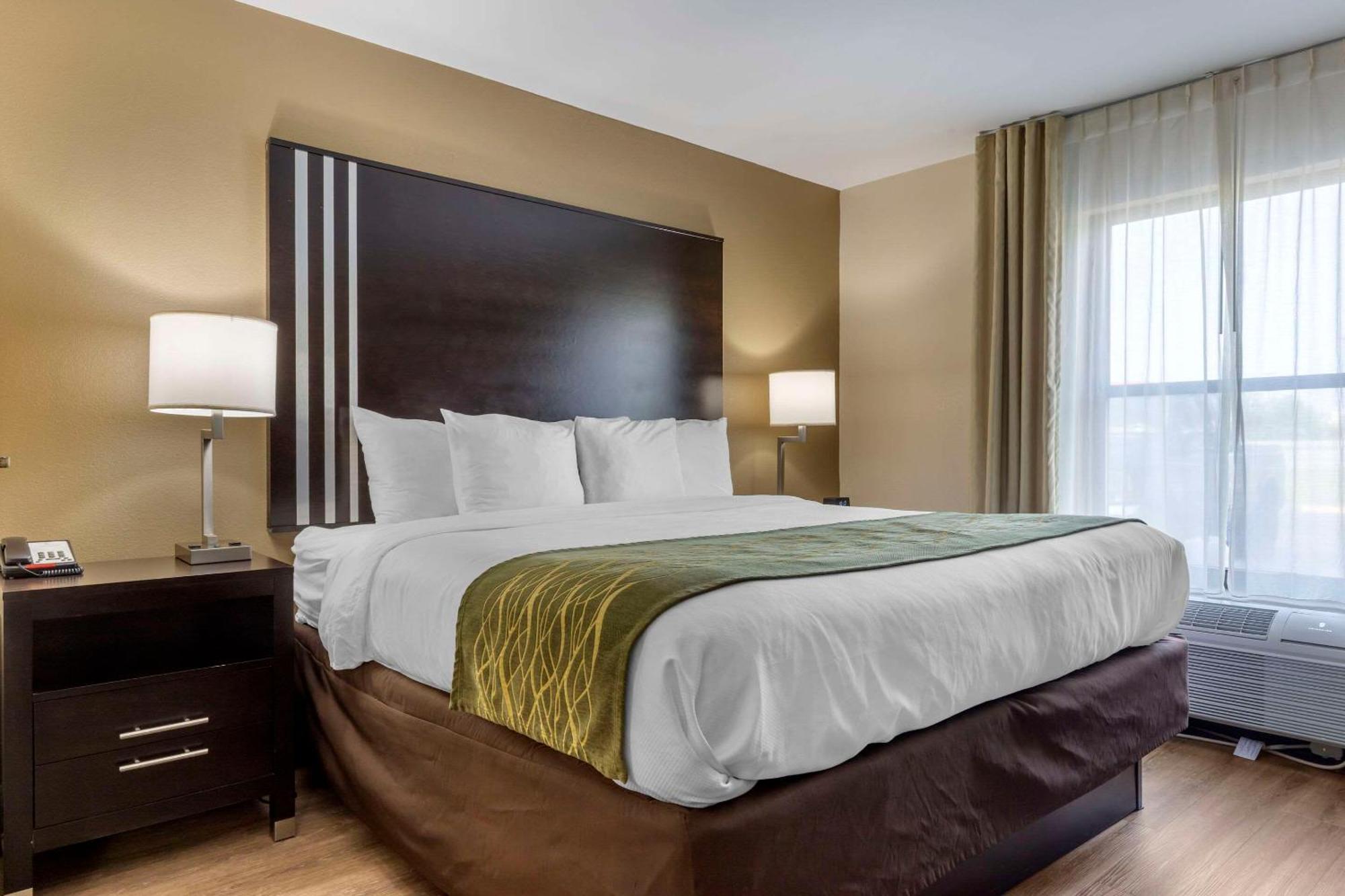 Comfort Inn Near Downtown & Blue Ridge Pkwy Marion Eksteriør billede