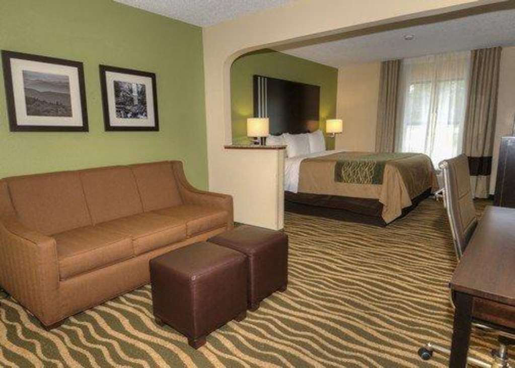 Comfort Inn Near Downtown & Blue Ridge Pkwy Marion Værelse billede